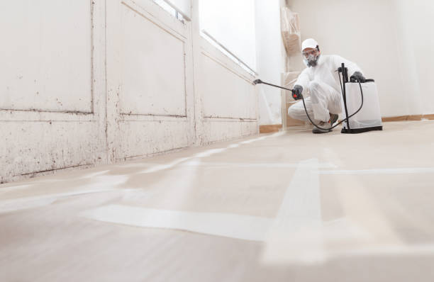 24/7 Emergency Mold Inspection experts in Windsor, VA